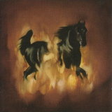 The Besnard Lakes Are the Dark Horse